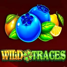 Wild Traces online game logo by Amusnet Interactive on spellwin.eu.com